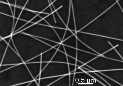 SEM Image of Silver Nanowires