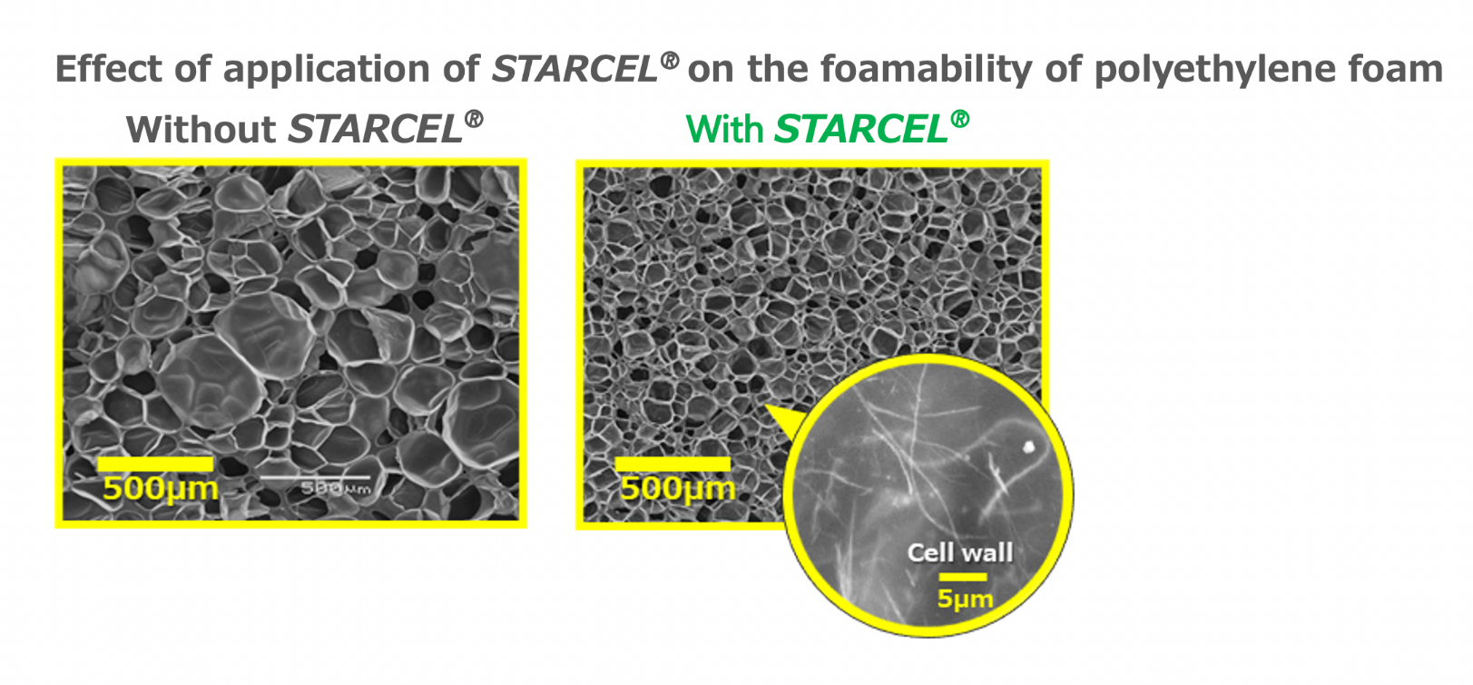 Effect of application of STARCEL® on the foamability of polyethylene foam